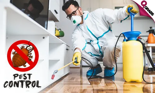 Pest Control: Cockroach & Bedbug Treatment Services!